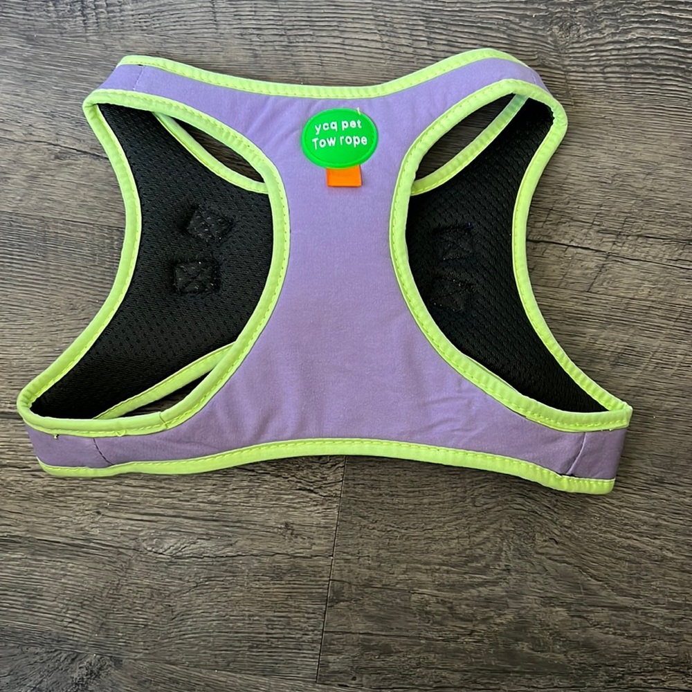 Dogs harness with leash